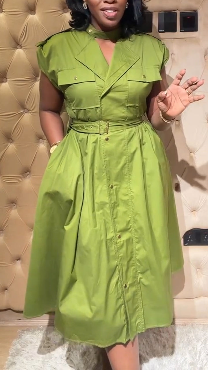 Women Collar Buckle and Waist Cinching Elegant Casual Dress