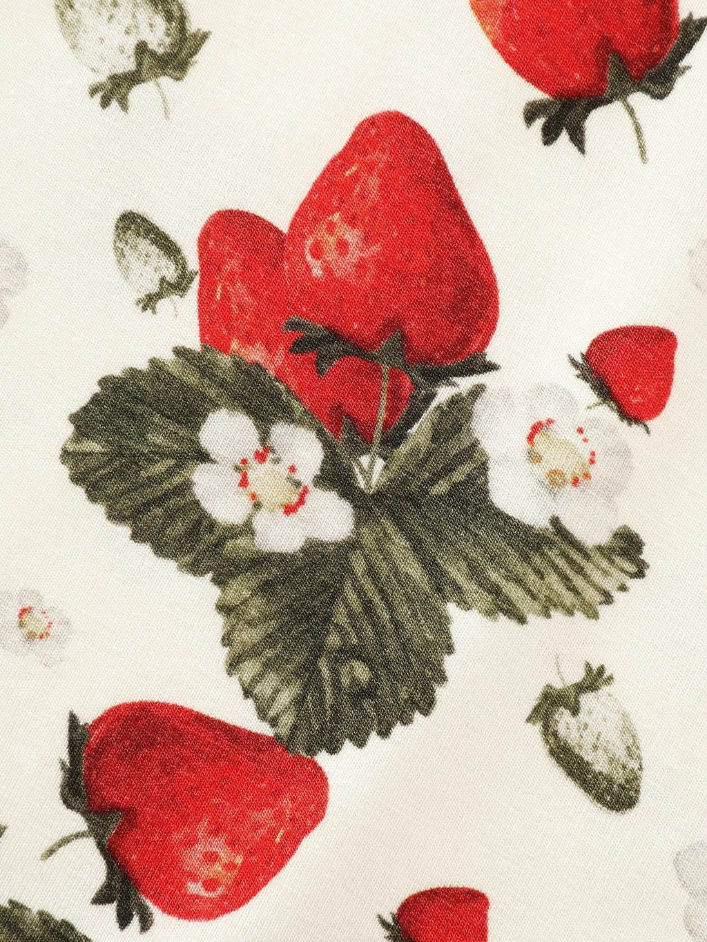 Garden Strawberry Print Stretchy Knit Top