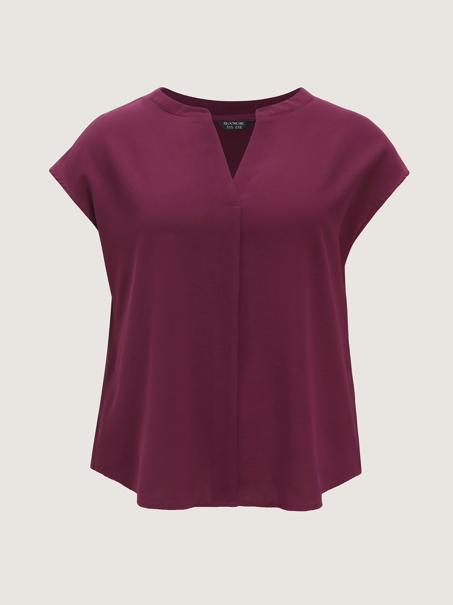 Notched Collar Pleated Back Blouse