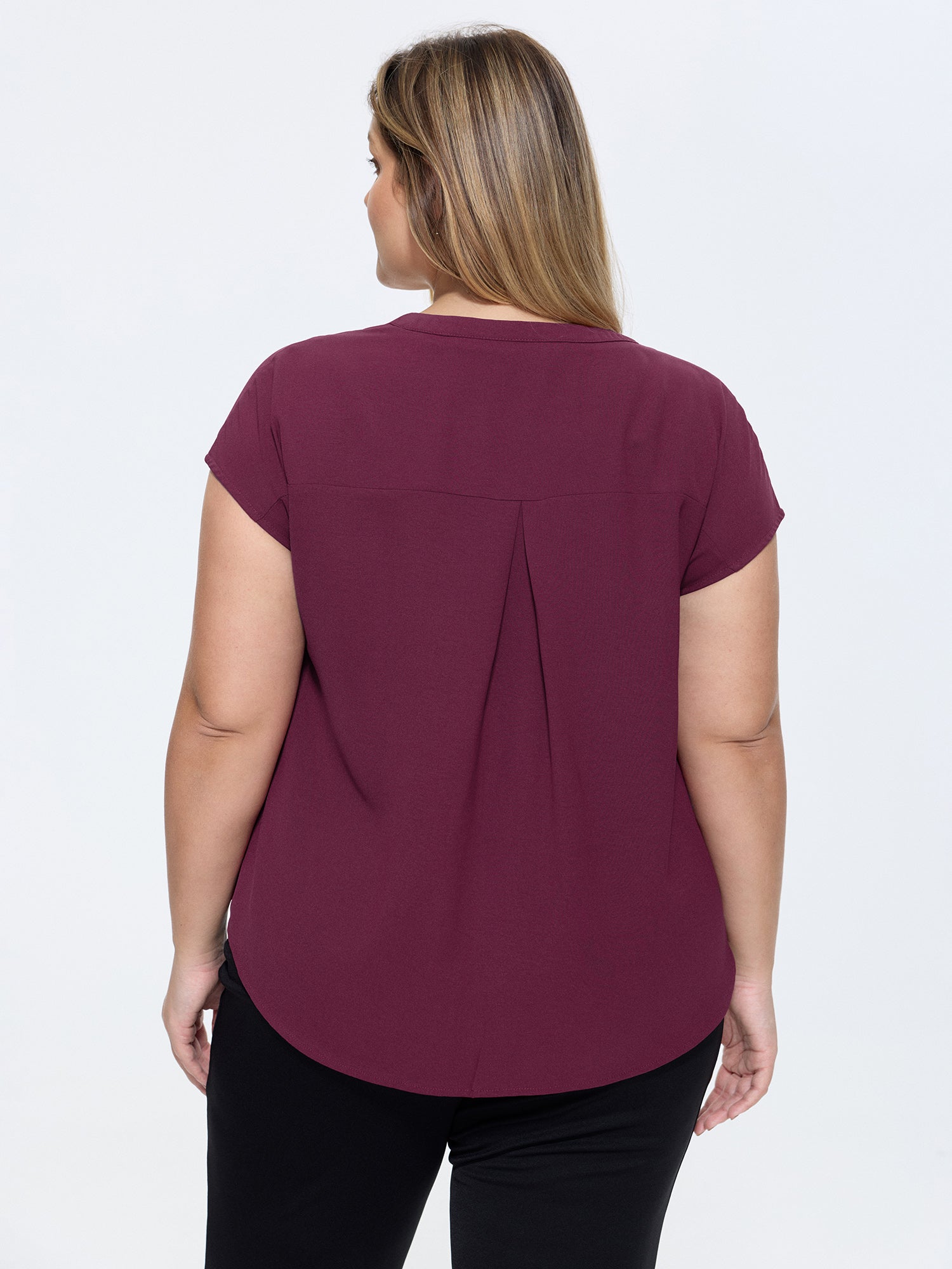 Notched Collar Pleated Back Blouse