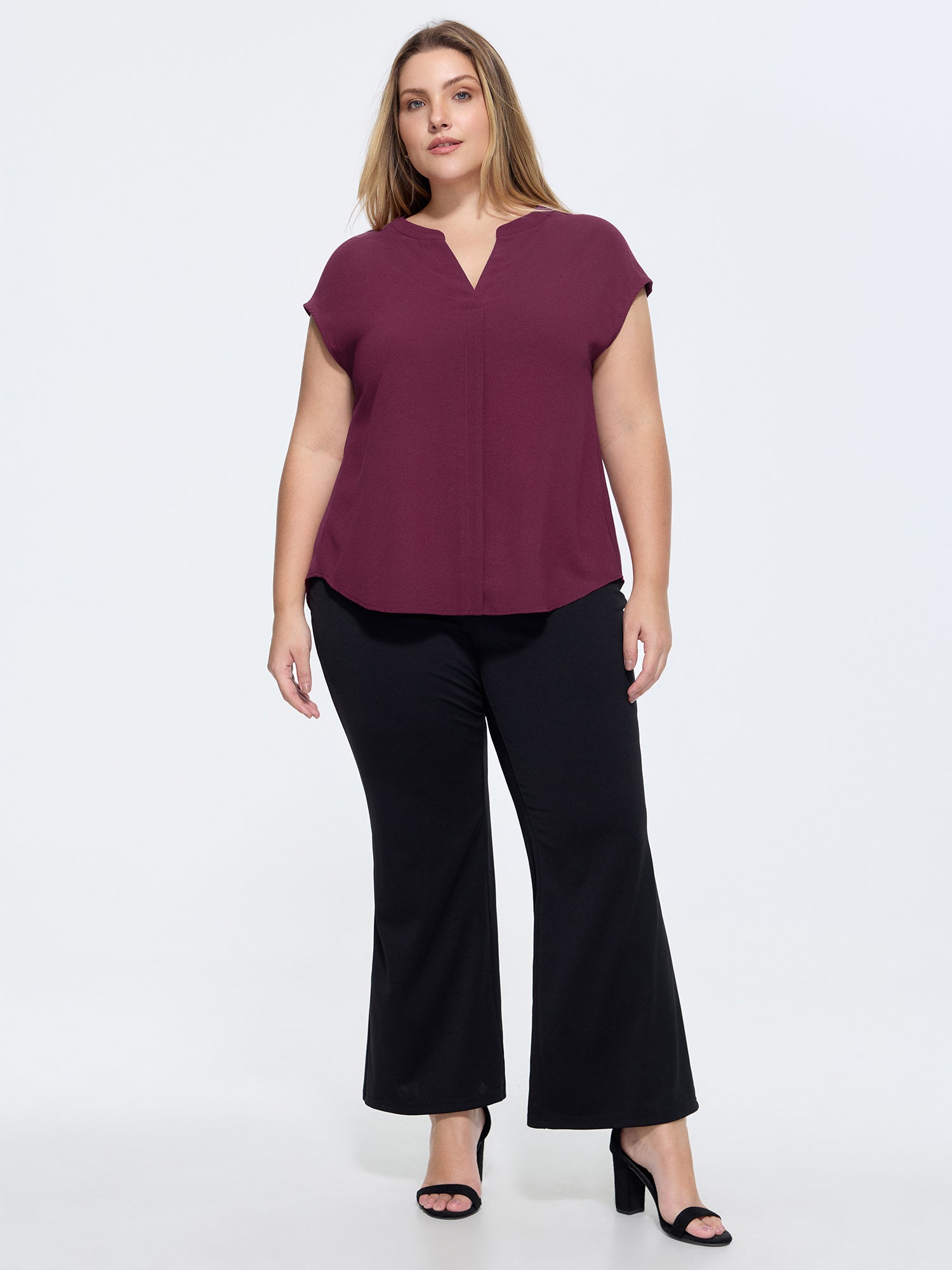 Notched Collar Pleated Back Blouse