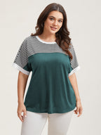 Solid and Striped Contrast Hem T-Shirt