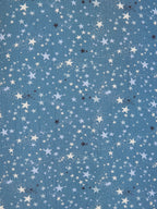 Millie Button Front Dress - Blue Star Print