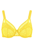 Enchante Unlined Non-padded Lace Underwire Bra